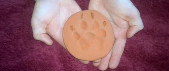 hands holding clay paw print of dog