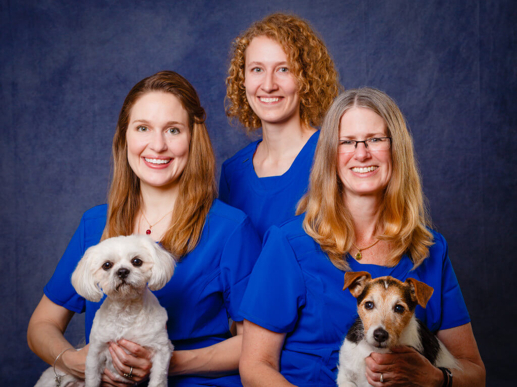 Portrait of the 3 vets at Journeys Home Pet Euthanasia