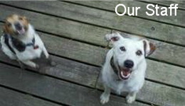 our-staff