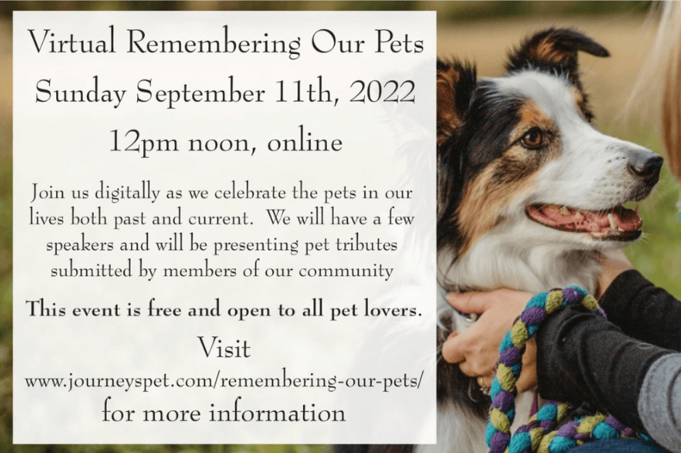 Pets store to remember